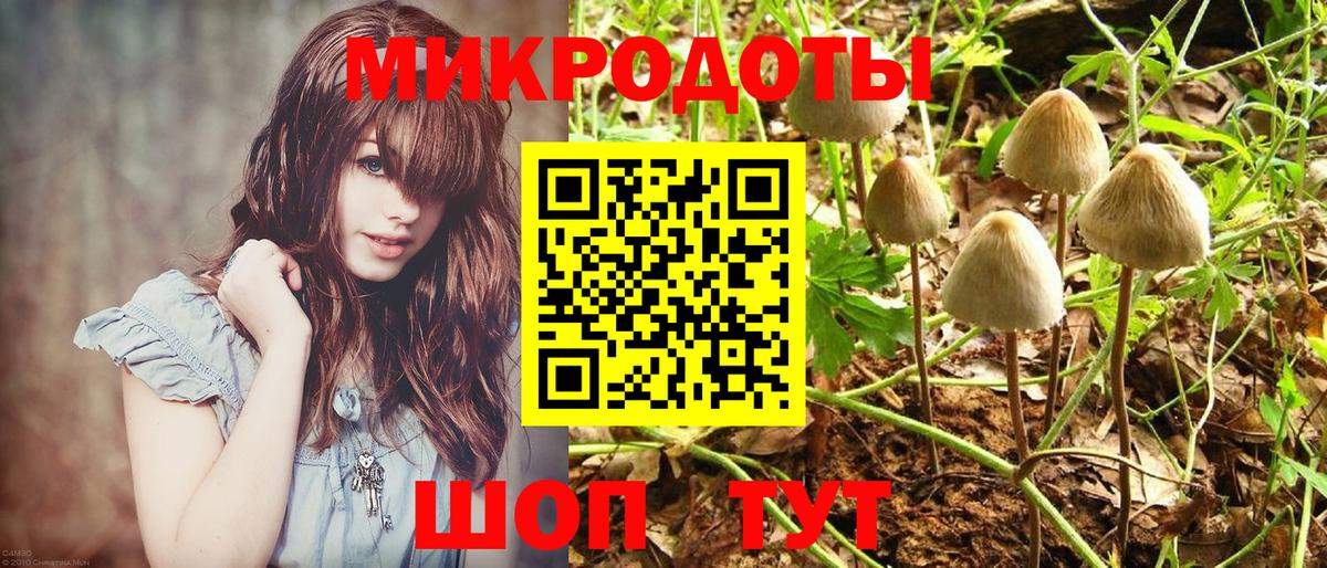 Галлюциногенные грибы GOLDEN TEACHER  Вход с VPN  где продают наркотики  Грязи 